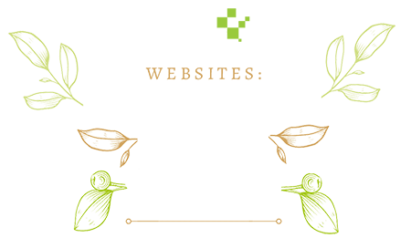 Nettl GRAPHIC BOOKINGS BOOKINGS WEBSITE DESIGN