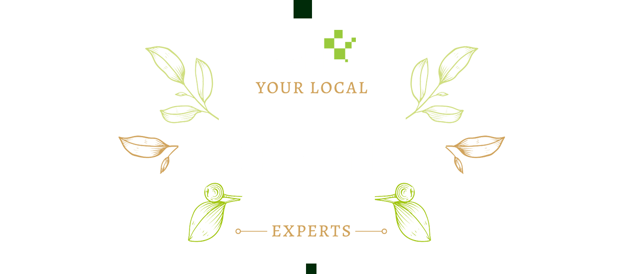 Web Design Chorley